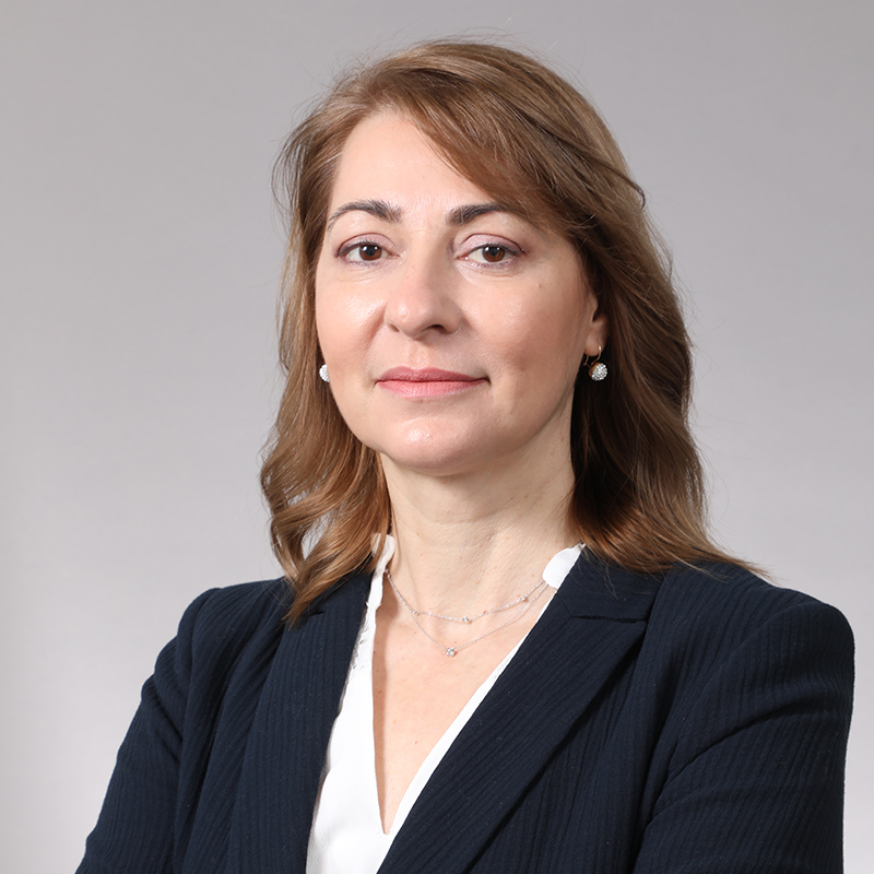 dr mihaela boulu